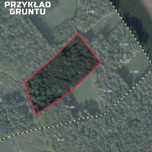 Zakup lasów i gruntów przeznaczonych do zalesienia