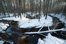 02.02.2026 r. - Światowy Dzień Mokradeł